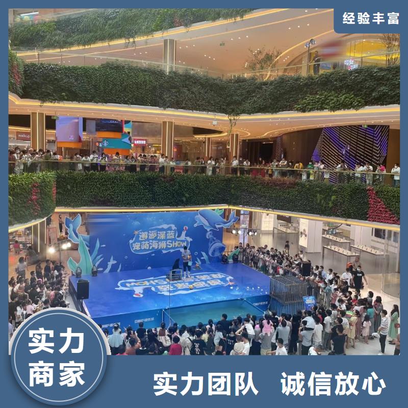 海洋主题动物表演,海狮表演出租方便快捷