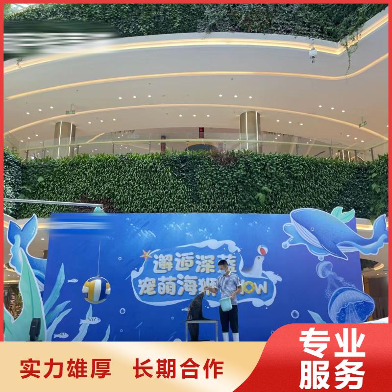 海洋主题动物表演,【海狮表演】口碑商家