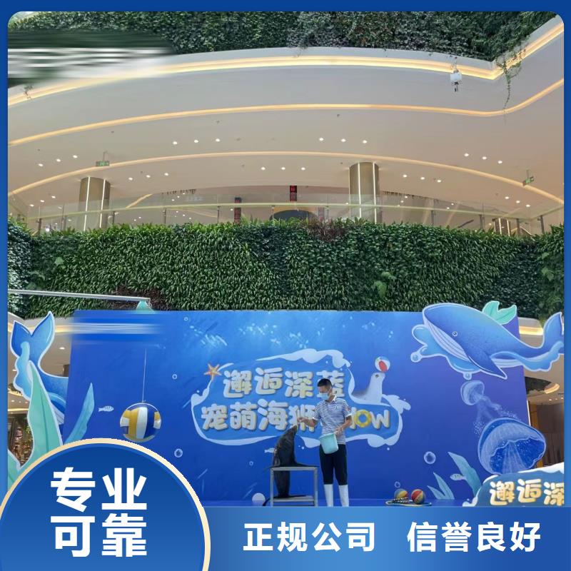 租赁海狮表演主题展览