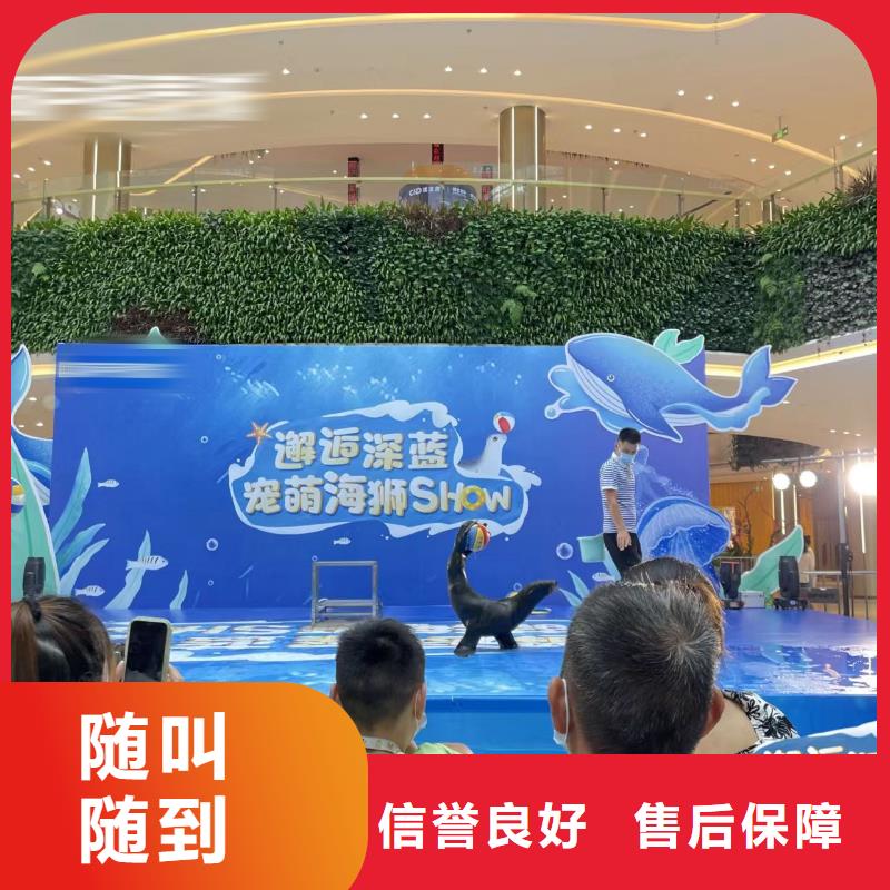 海洋主题动物表演,出租表演萌宠收费合理
