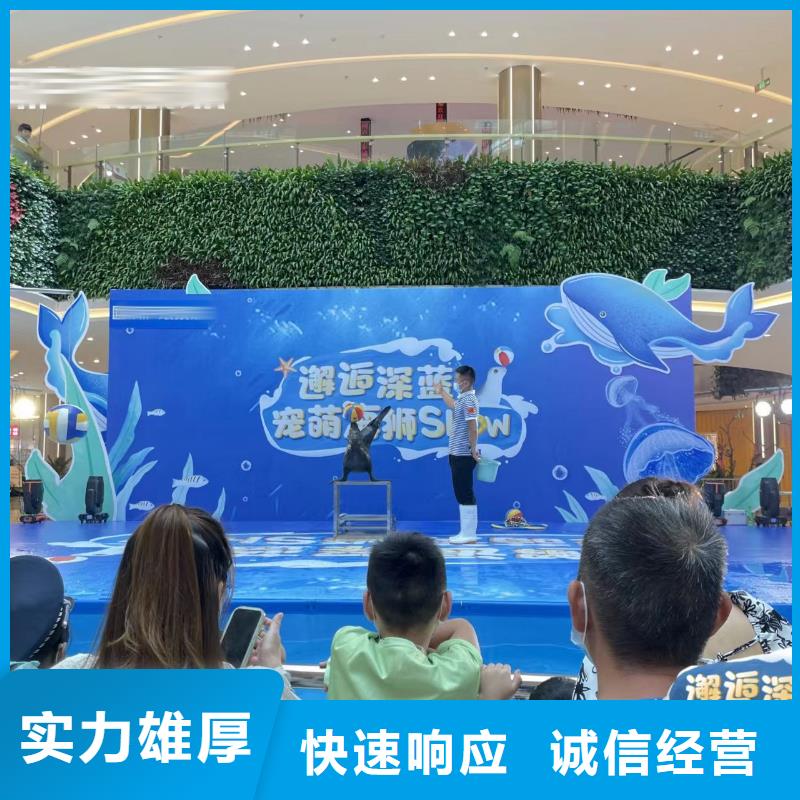 海洋主题动物表演【企鹅演出】技术好