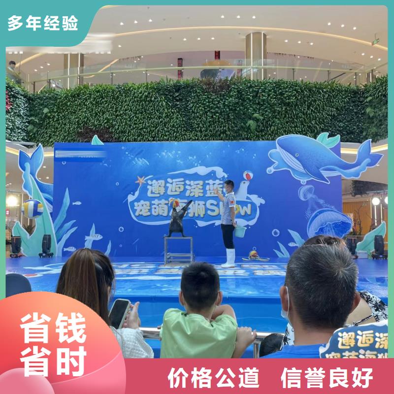 海洋主题动物表演,【羊驼出租】免费咨询