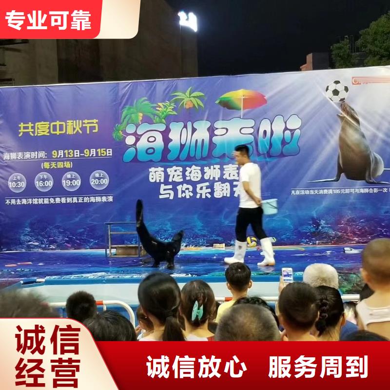 哪有出租海狮表演的