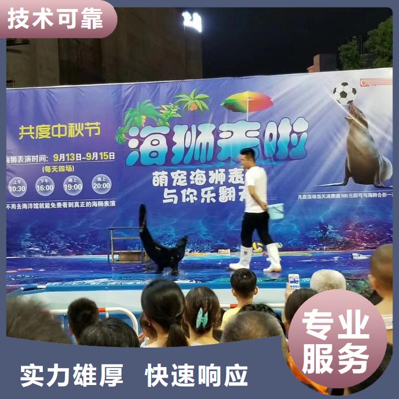 出租美人鱼表演活动