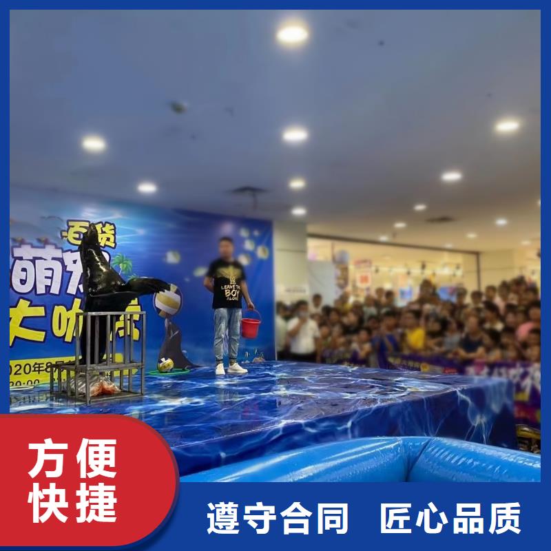 海狮出租公司免费策划