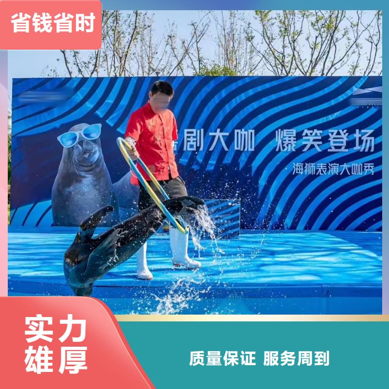 租赁美人鱼表演暖场氛围