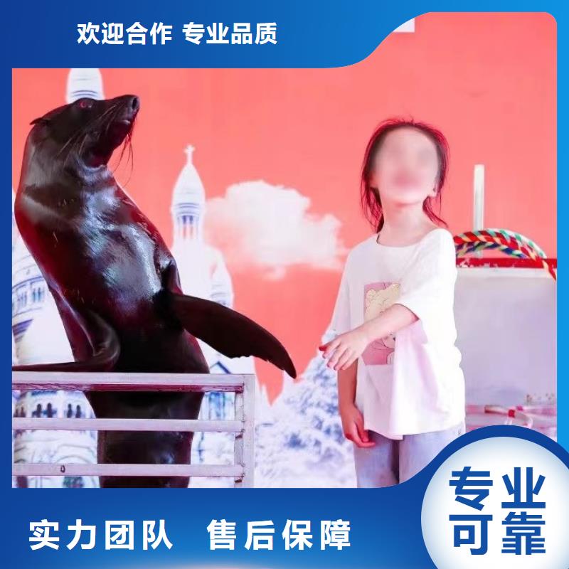 海洋主题动物表演马戏团表演出租租赁注重质量