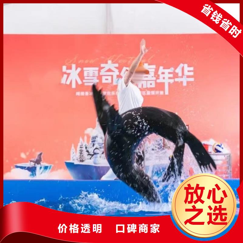【海洋主题动物表演_动物表演出租技术好】