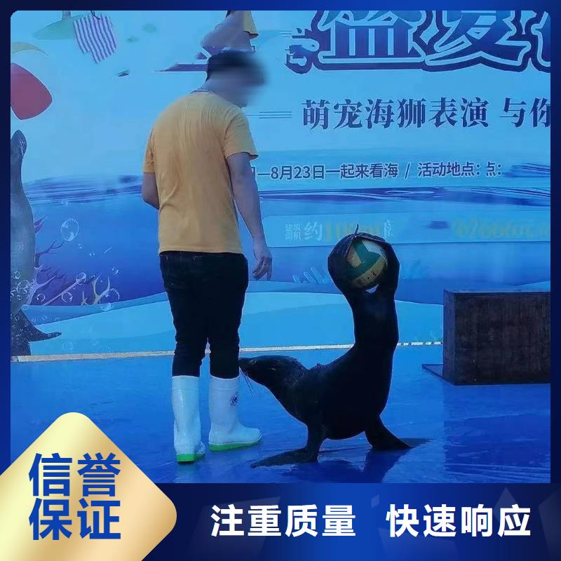 【海洋主题动物表演_动物表演出租技术好】