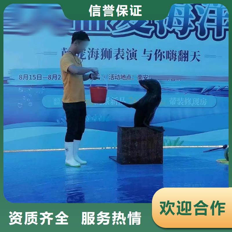 海洋主题动物表演【杂耍演出】价格低于同行