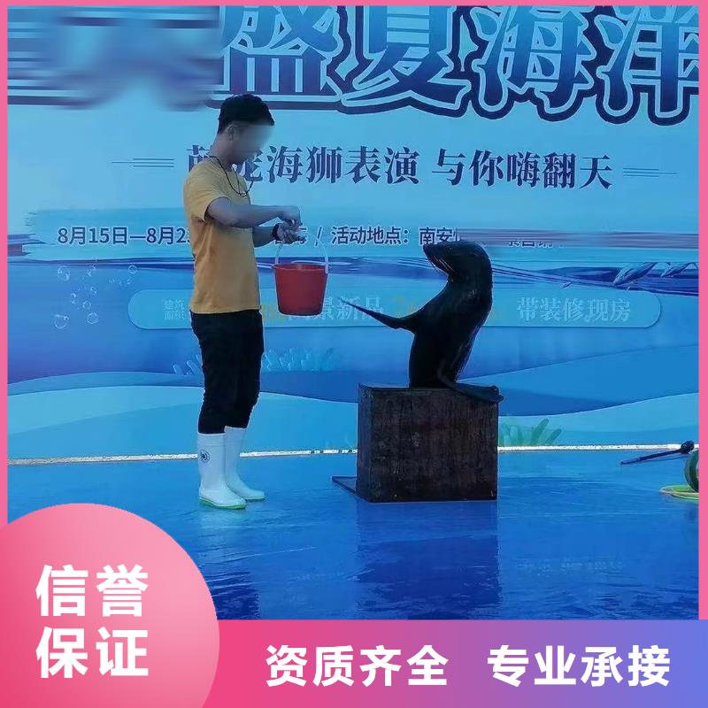 海洋主题动物表演马戏团表演出租租赁注重质量