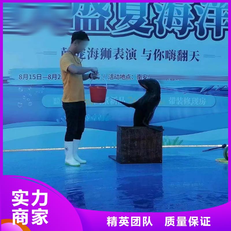 【海洋主题动物表演_动物表演出租技术好】