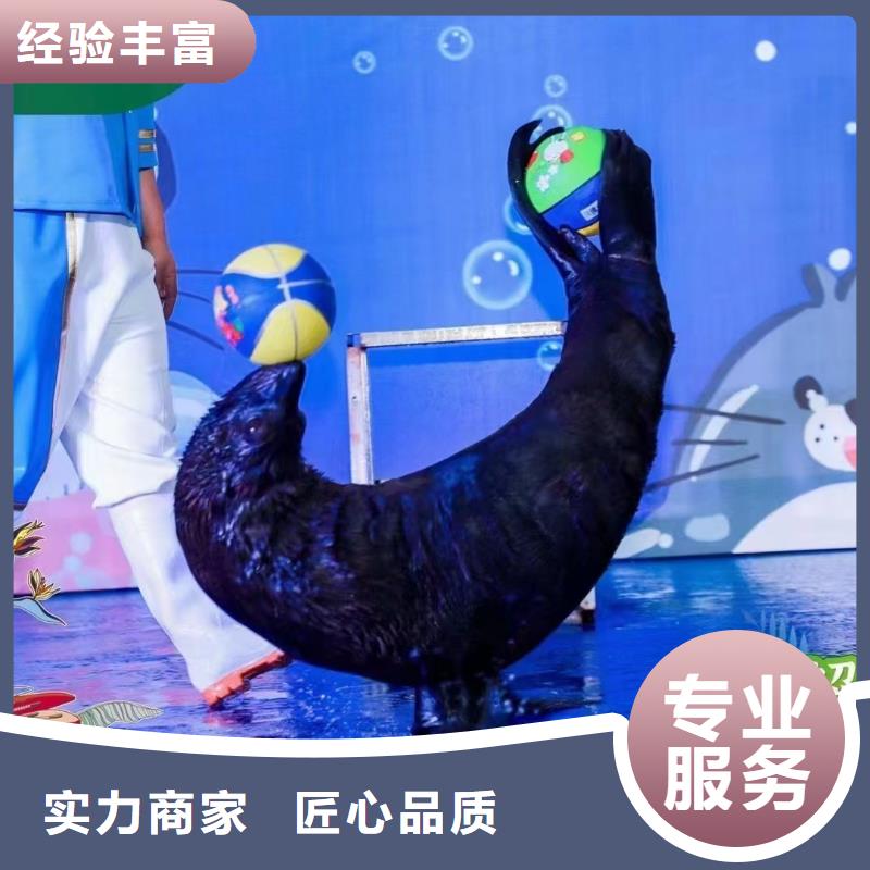 【海洋主题动物表演】美人鱼表演实力强有保证