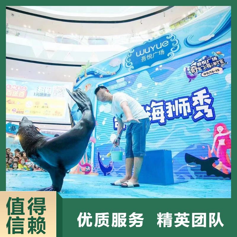 海洋主题动物表演【动物杂技表演租赁】2025专业的团队