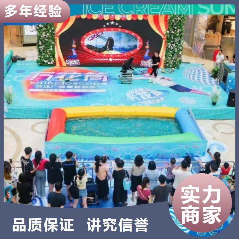 海洋主题动物表演马戏团表演出租租赁注重质量