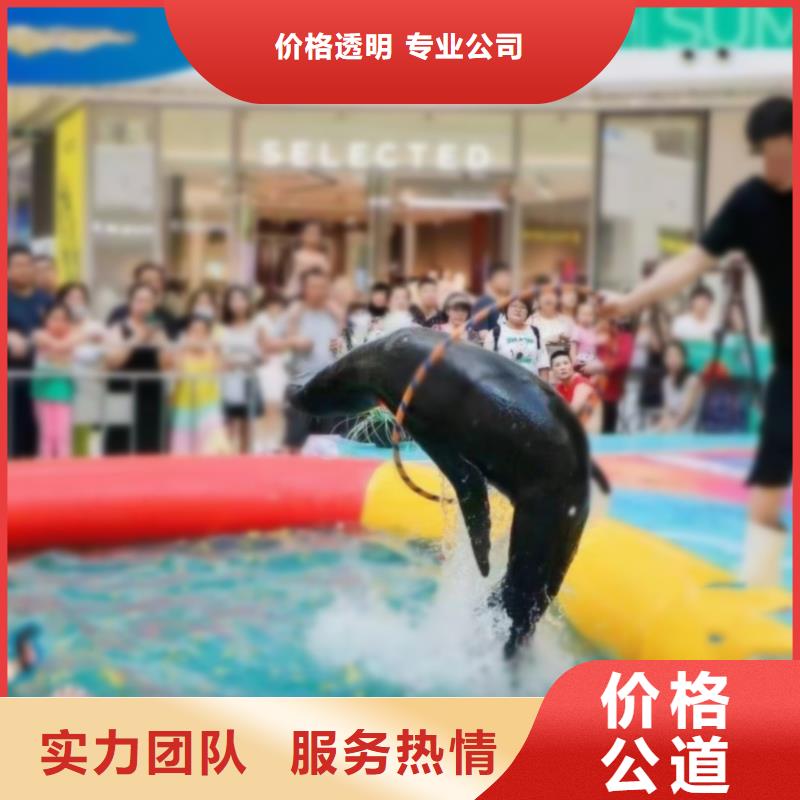 【海洋主题动物表演_动物表演出租技术好】
