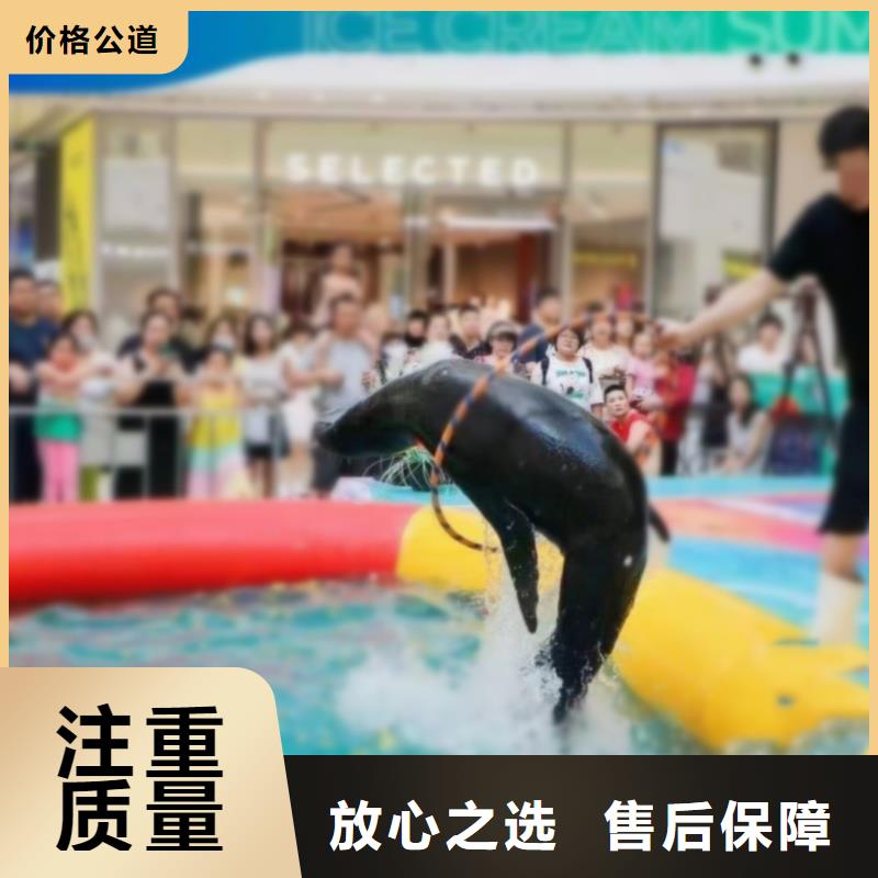 海洋主题动物表演,动物表演出租齐全