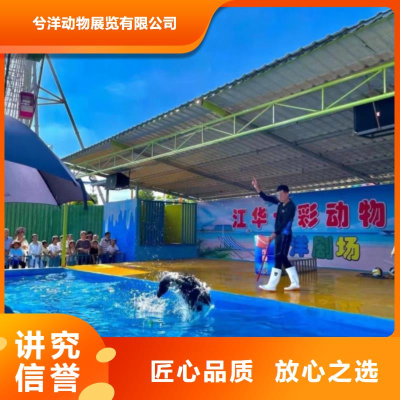 海洋主题动物表演马戏团表演出租租赁注重质量