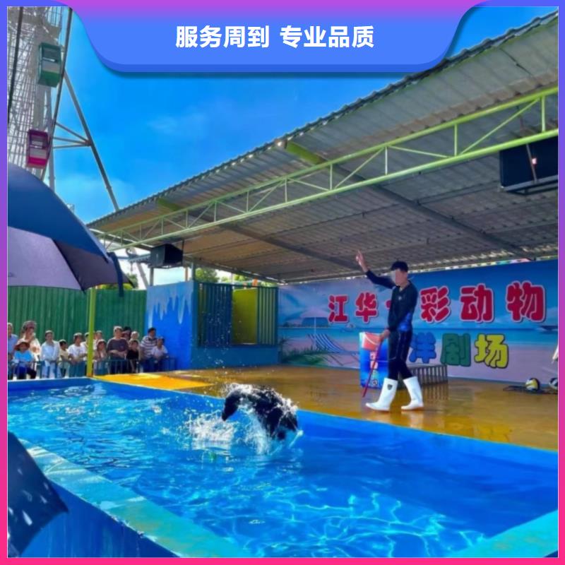 海洋主题动物表演企鹅出租品质卓越