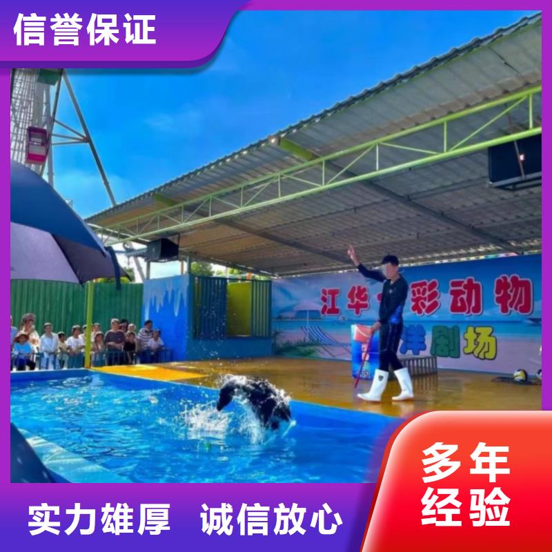 海洋主题动物表演 【企鹅表演】收费合理