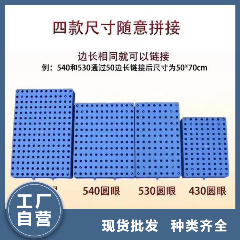 塑料托盘货架拍子品质可靠