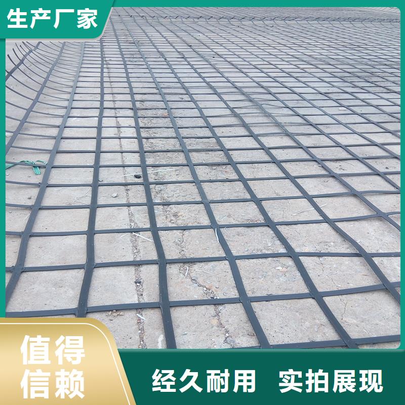 塑料土工格栅批发