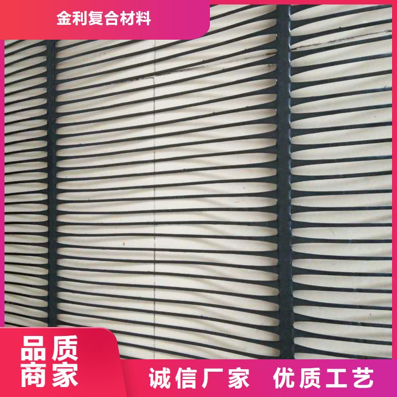 双向塑料土工格栅实力厂家