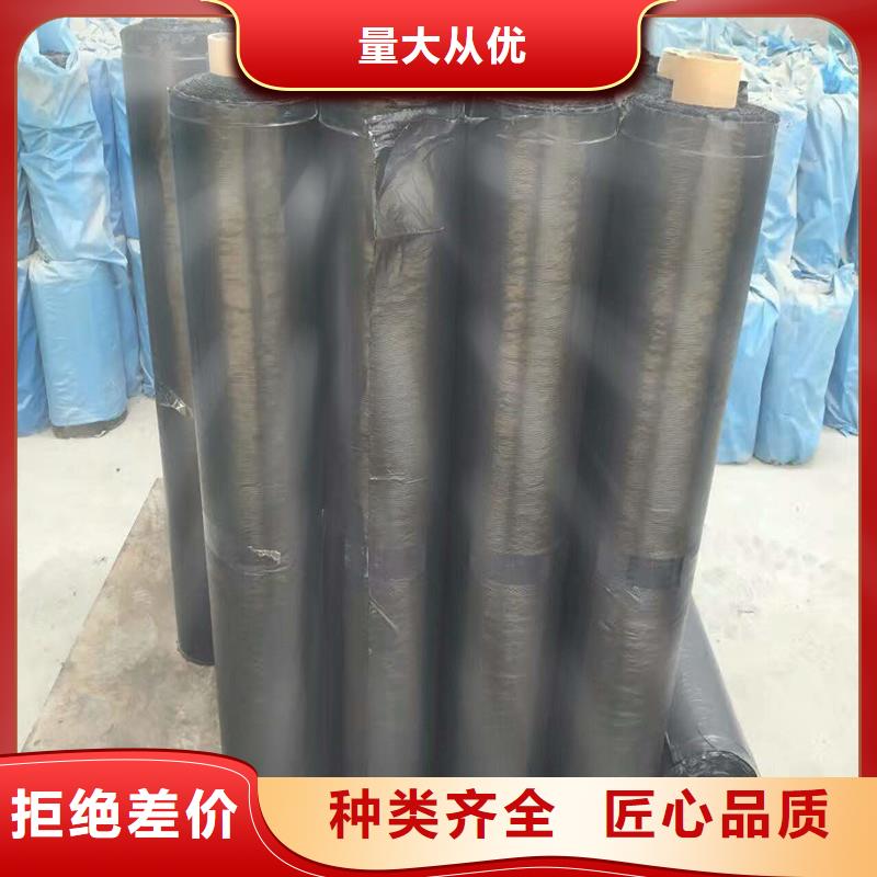 塑料土工格栅厂家