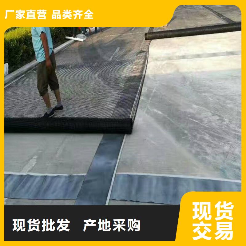 双向塑料土工格栅实力厂家
