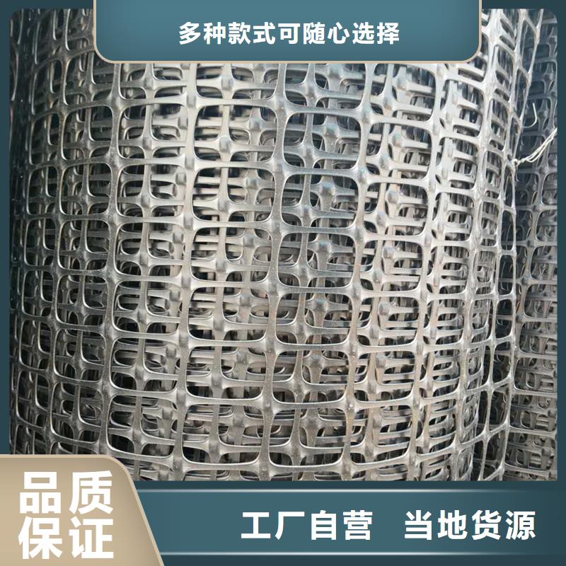 双向塑料土工格栅实力厂家