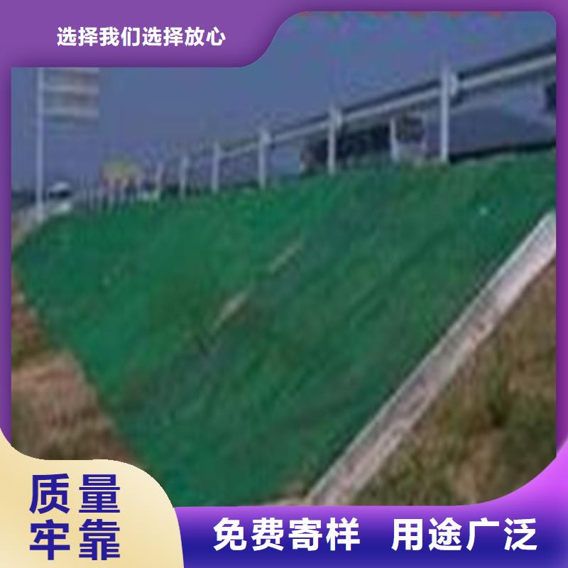 土工布_玻纤土工格栅定金锁价