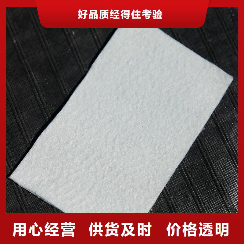 土工布_玻纤土工格栅定金锁价