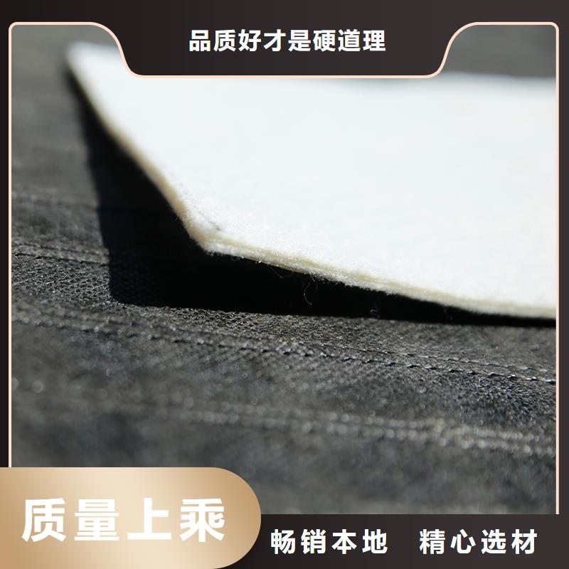 防渗土工布厂家
