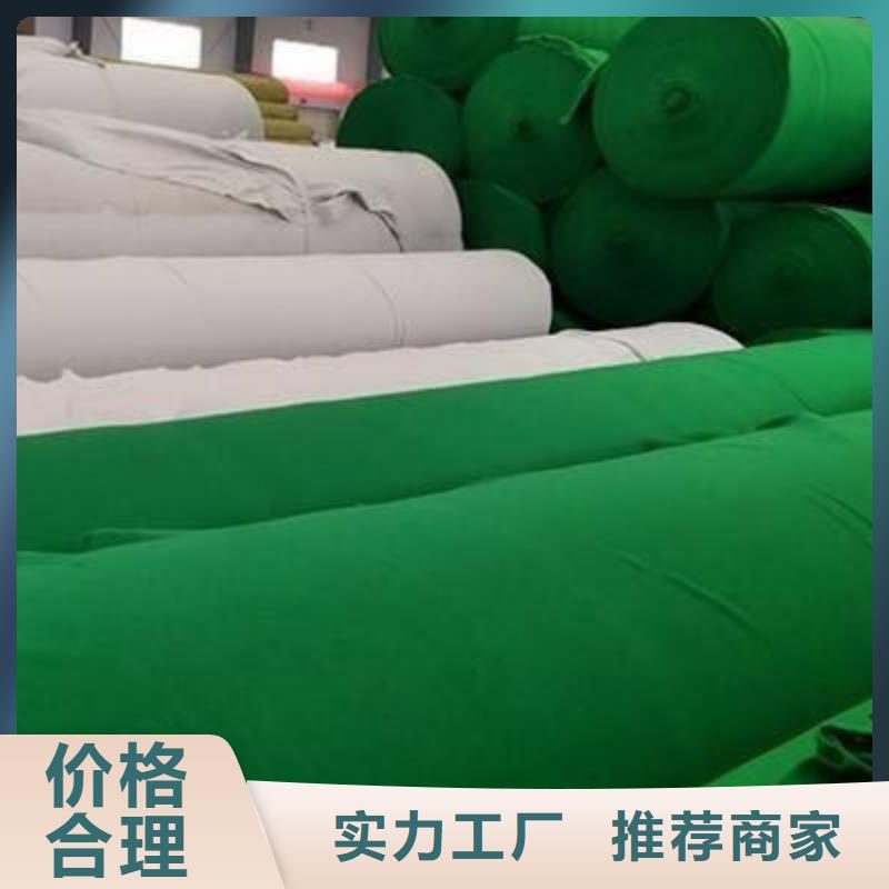 土工布_玻纤土工格栅定金锁价