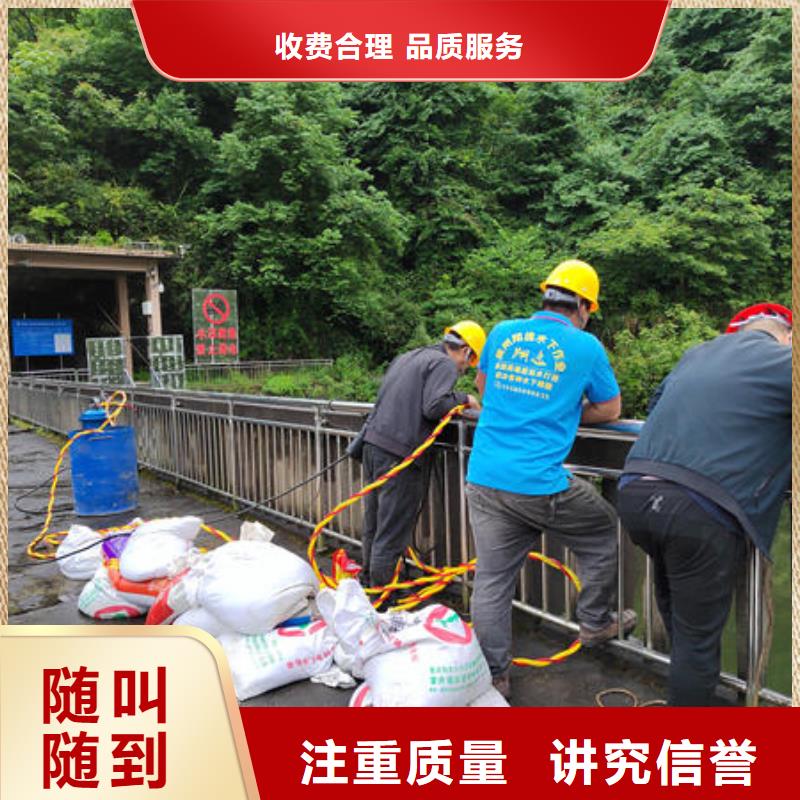 青川县水下封堵气囊施工团队