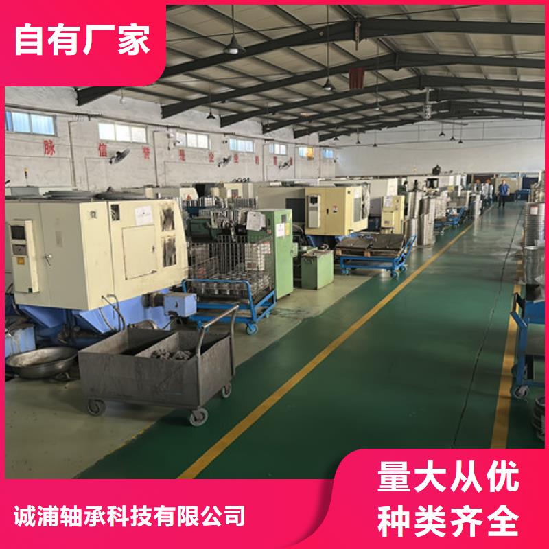 现货供应ZWZ轴承_精选厂家