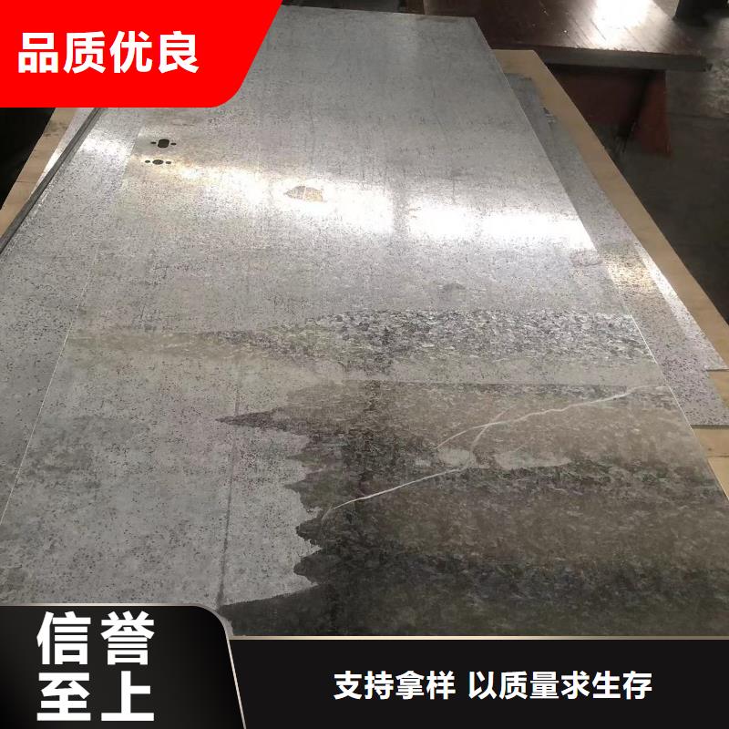 铅门【铅房】匠心制造