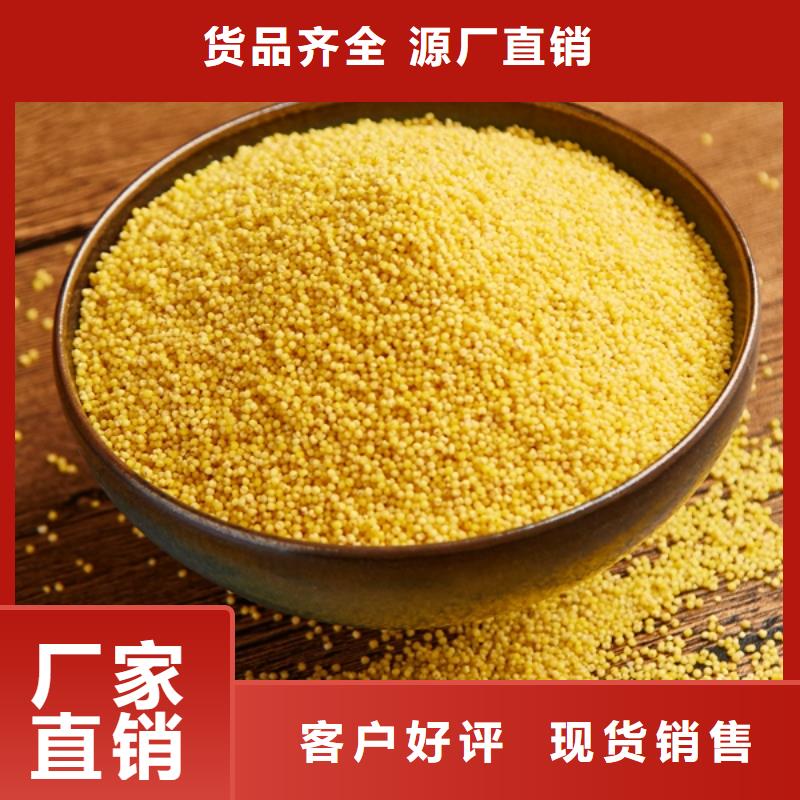 聚合氯化铝实体大厂