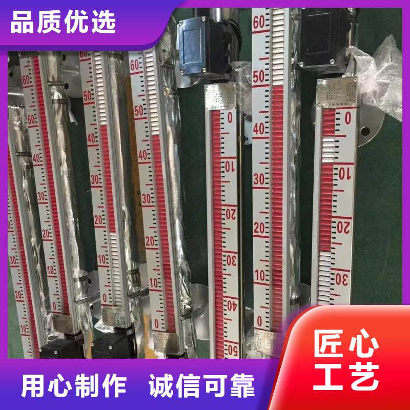 WPIS8551A309