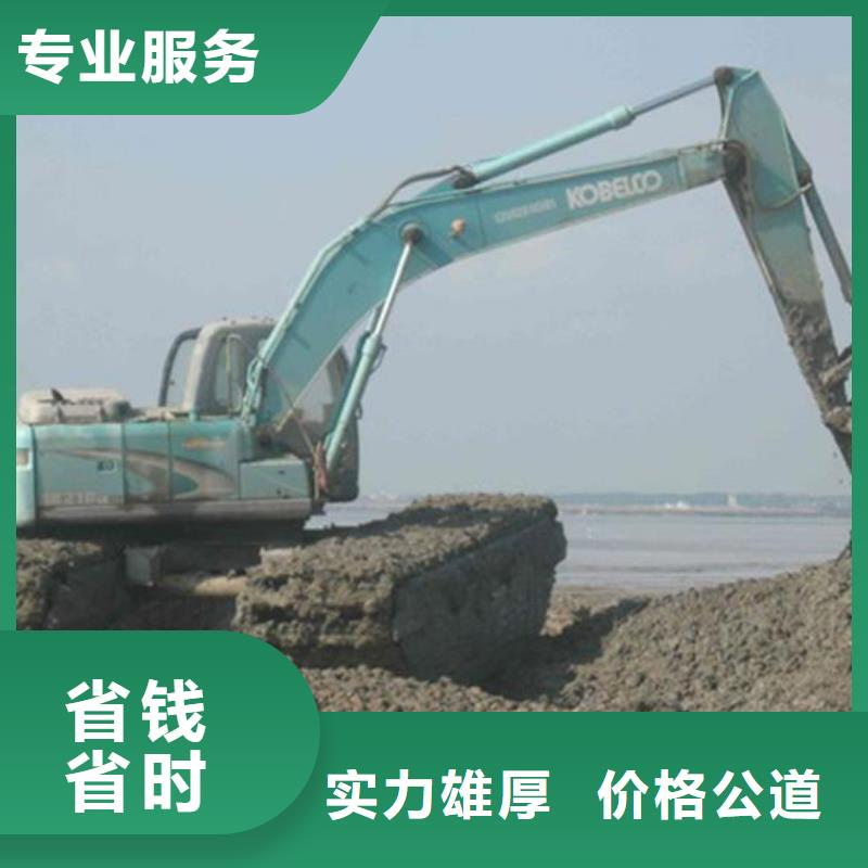 水陆挖掘机出租厂商