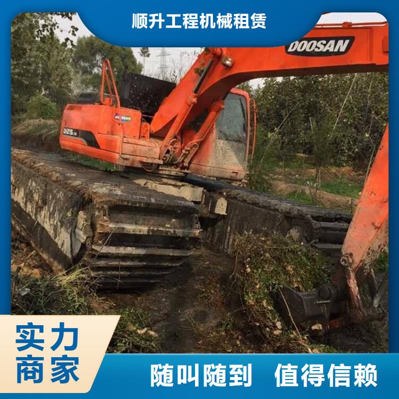 
水陆两用挖机租赁相关信息