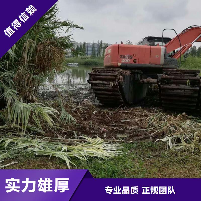 
湿地挖掘机出租组图