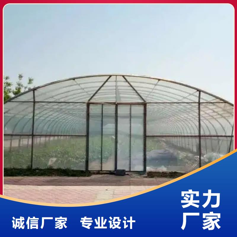 云县葡萄大棚水槽10年经验