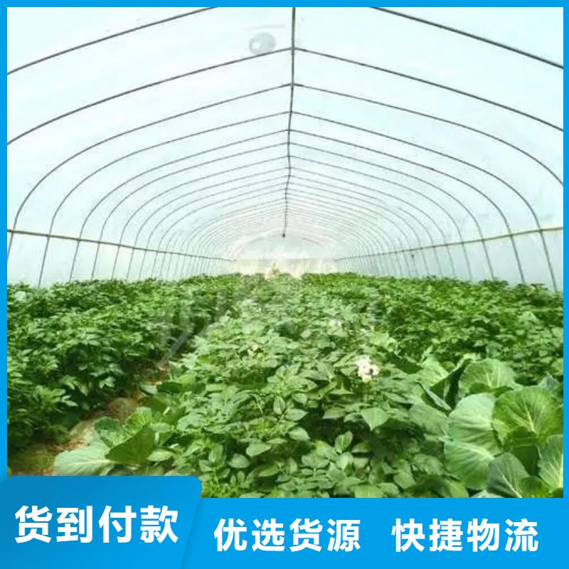 渝水区葡萄避雨大棚管现货齐全