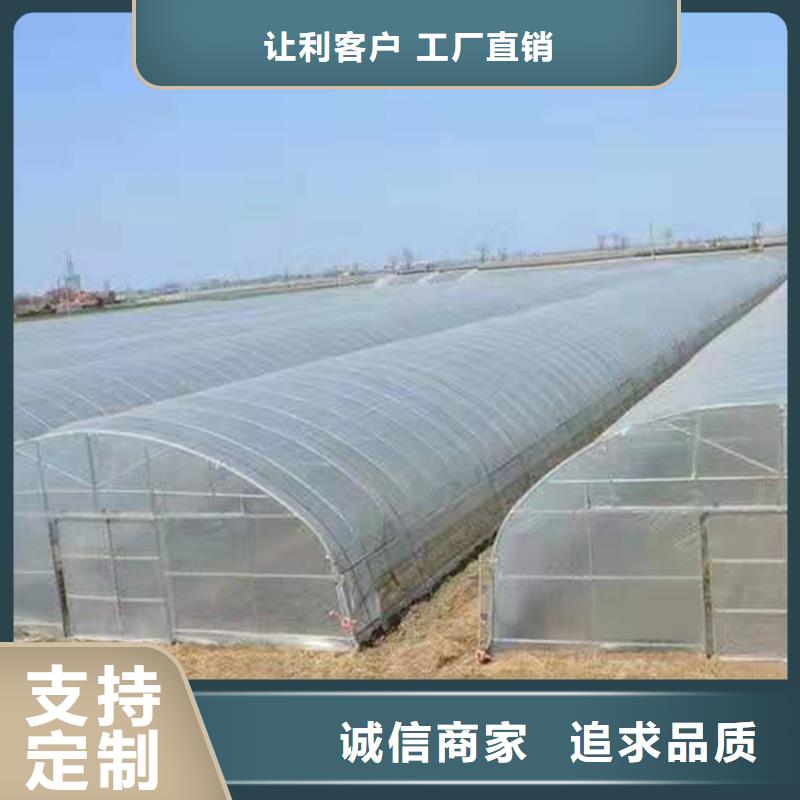 永善县蔬菜大棚管价格公道