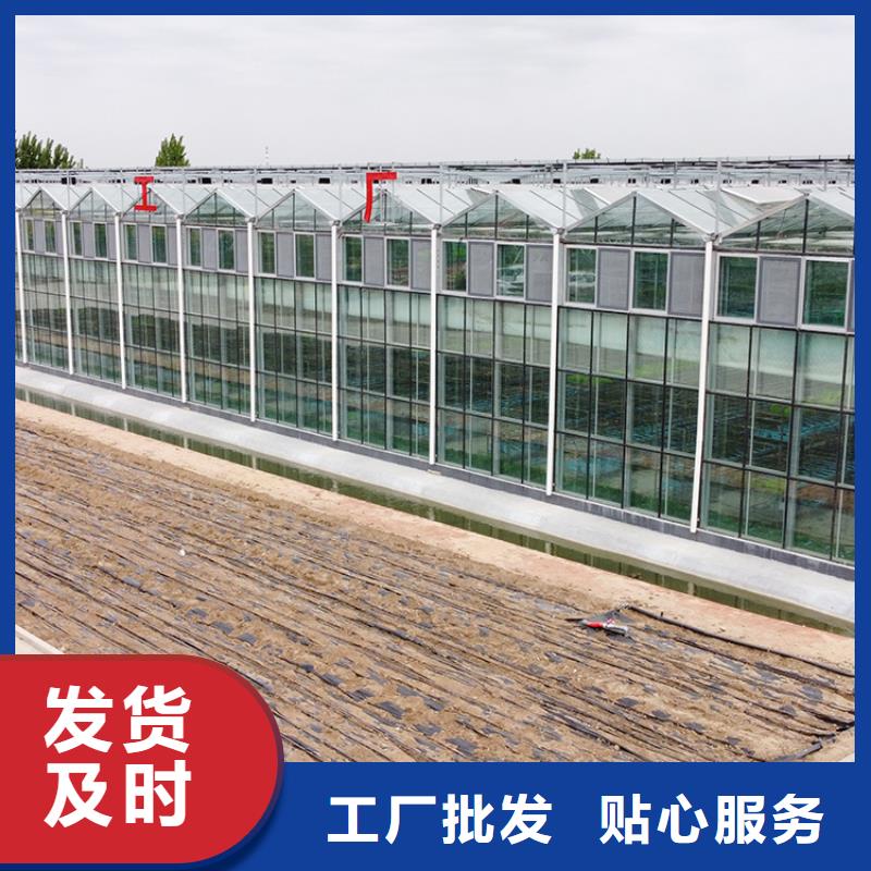 大棚羊角良心厂家