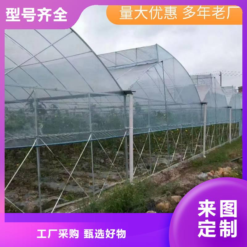 云县葡萄大棚水槽10年经验