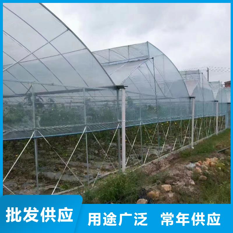永善县蔬菜大棚管价格公道