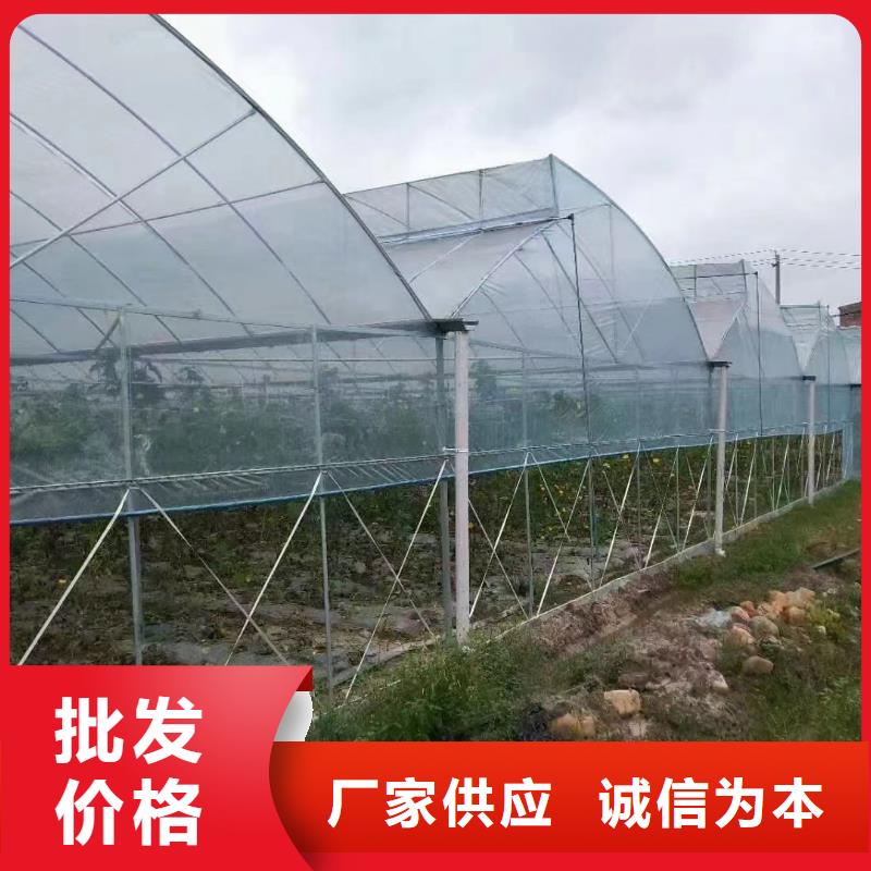 渝水区葡萄避雨大棚管现货齐全