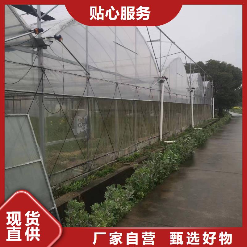 云县葡萄大棚水槽10年经验